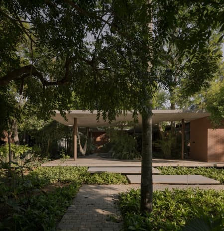 A Forest in the House